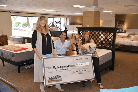 City Mattress Lends Support to Big Dog Ranch Rescue - City Mattress Staging