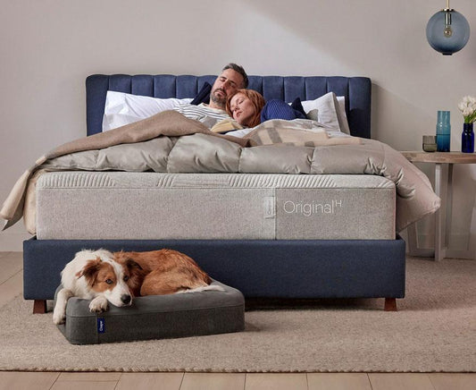 Everything You Need to Know About Buying a New Casper Mattress - City Mattress Staging