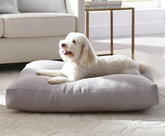 How do Dogs Choose Where They Sleep? - City Mattress Staging