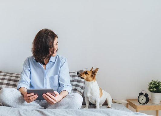 Mattress Pad vs. Mattress Topper - City Mattress Staging