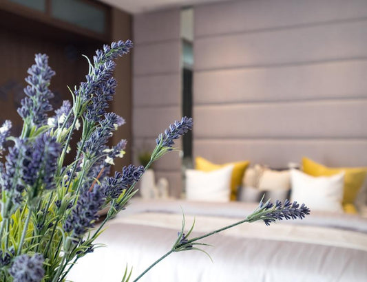 Sleep on a Lavender Infused Pillow for a Calmer Night’s Sleep - City Mattress Staging