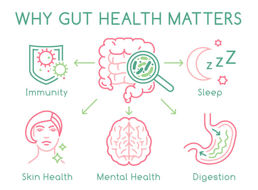 Sleep Tight: The Remarkable Connection Between Gut Health and Quality Sleep - City Mattress Staging