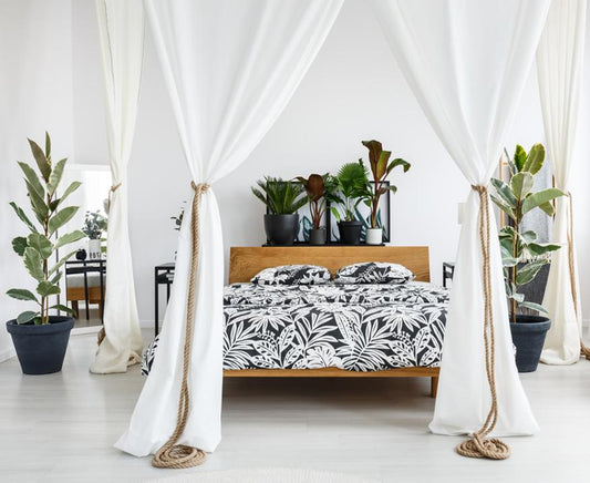 What Feng Shui Says About Plants in Your Bedroom - City Mattress Staging