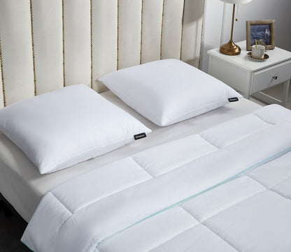 Beautyrest Cotton Softy Around Euro Pillow 2 - Pack by Beautyrest