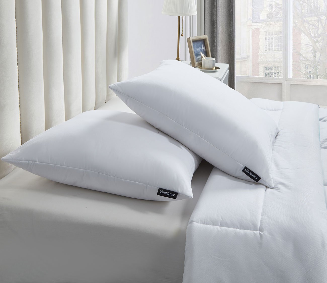 Cotton Softy Around Euro Pillow 2-Pack