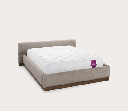 Bliss Modular Bed by CM Home silo on white background showcasing removable modular feature - angled view in heather color option