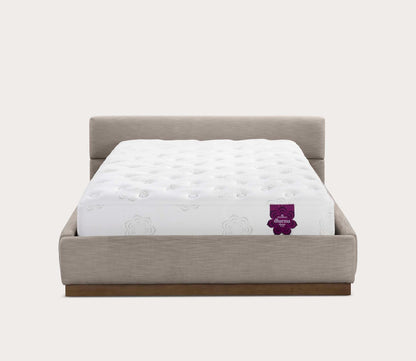 Bliss Modular Bed by CM Home silo on white background showcasing removable modular feature - head-on view in heather color option