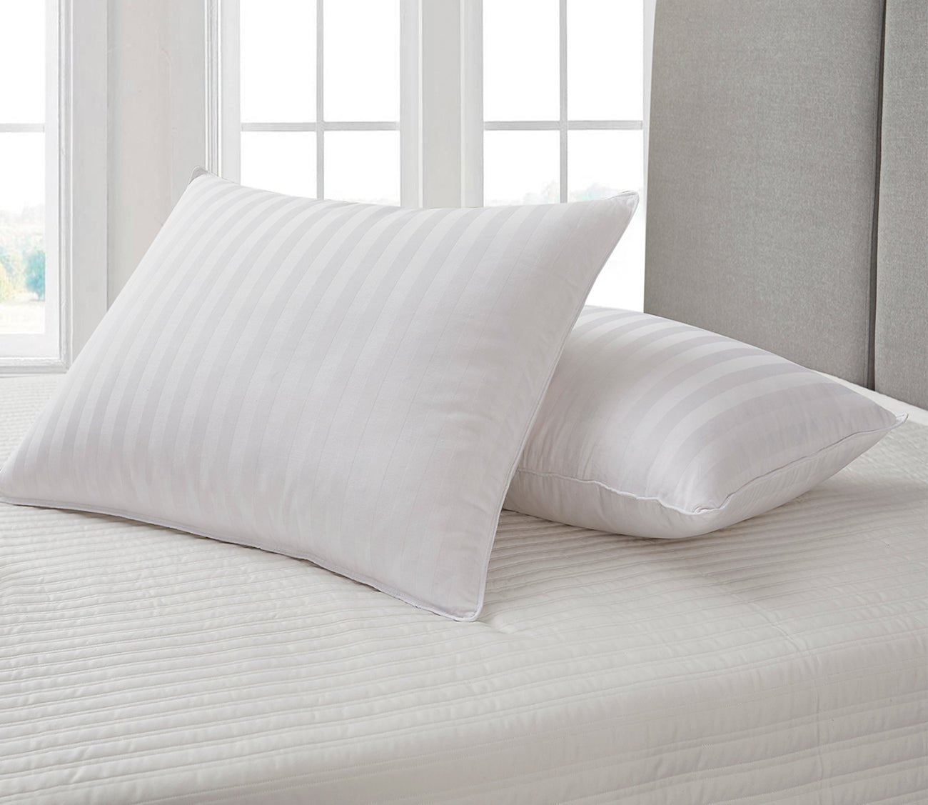 Blue Ridge Home Supreme Damask Stripe Soft White Down Pillow by Blue Ridge Home Fashions