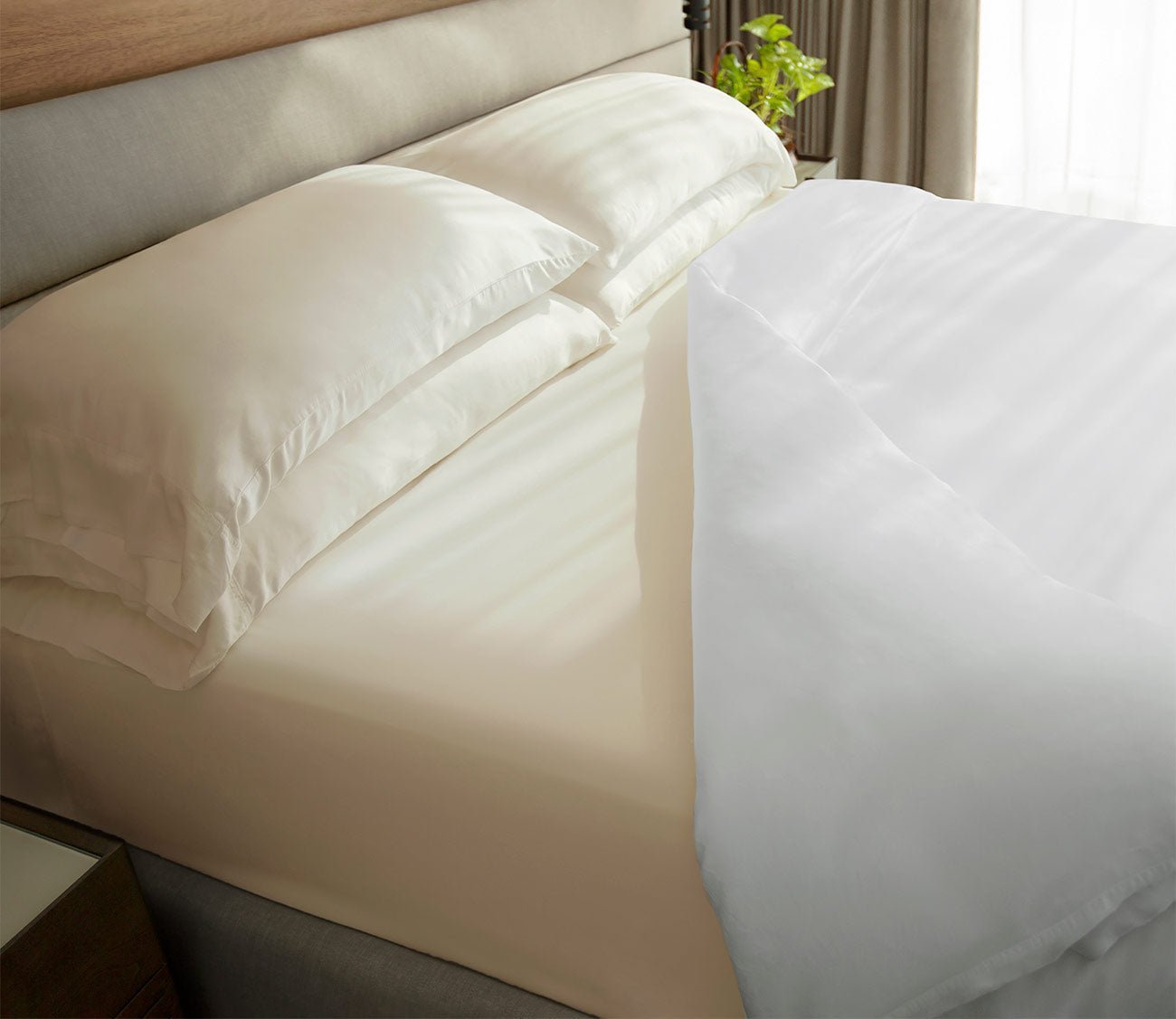 Cariloha Classic Bamboo Bed Sheet Set by Cariloha