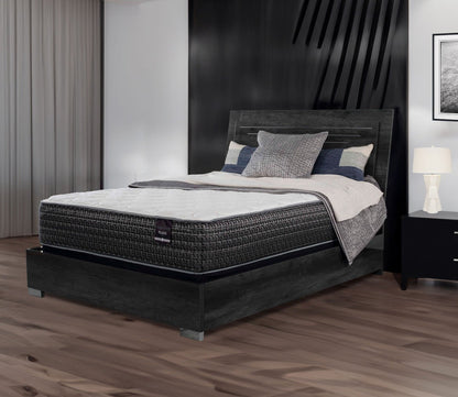 City Mattress Pegasus Plush Innerspring Mattress by City Mattress