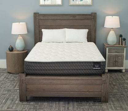 City Mattress Pegasus Plush Innerspring Mattress by City Mattress