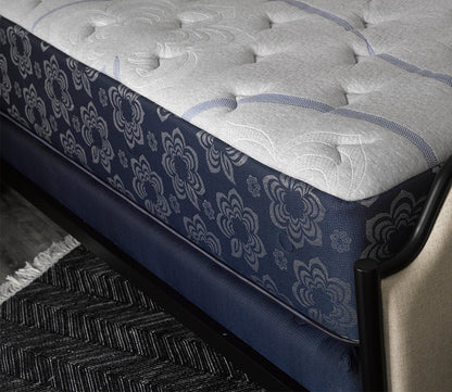 CM Home Alyssa Upholstered Metal Bed by CM Home