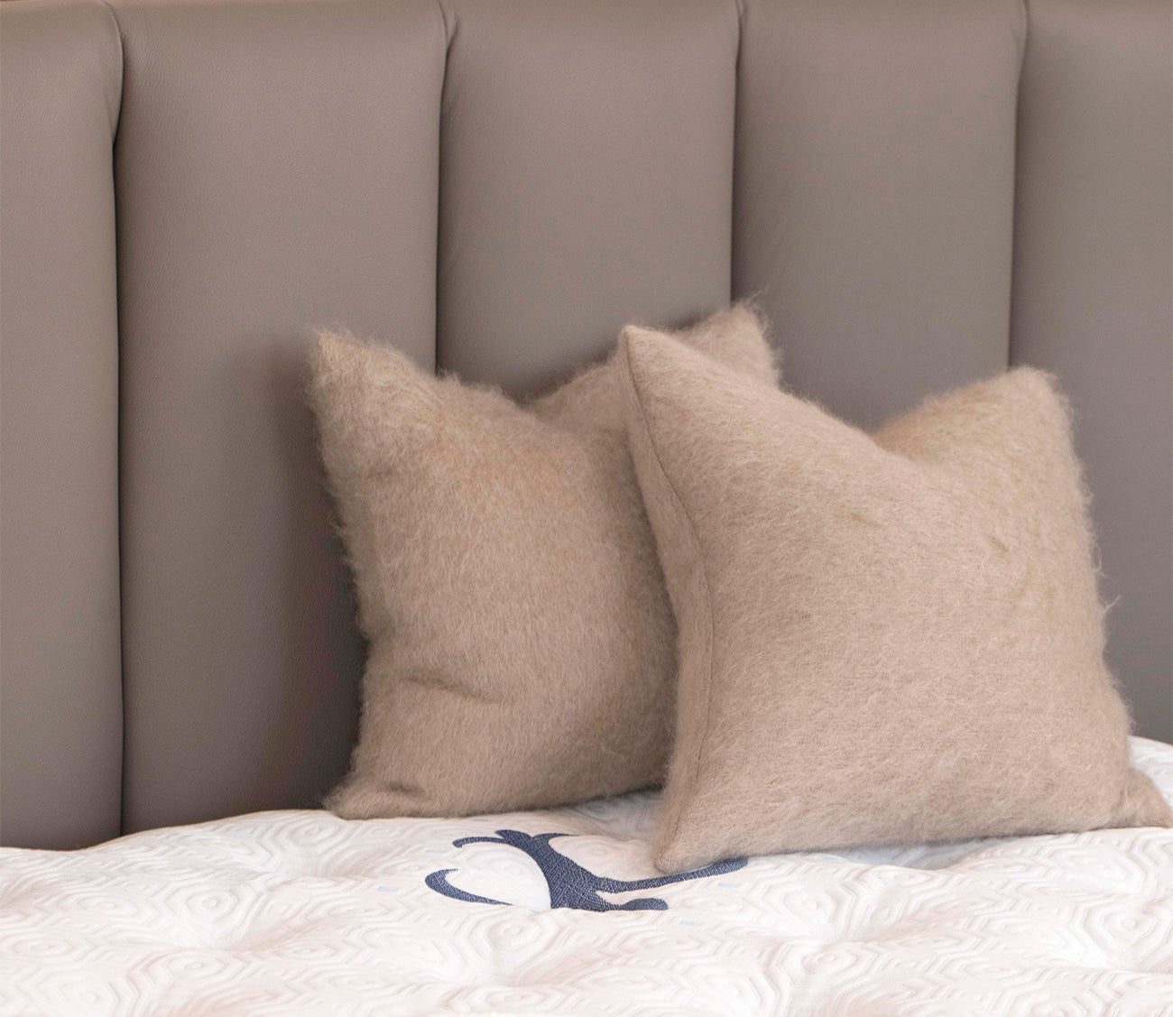 CM Italia Narciso Leather Upholstered Bed by CM Italia