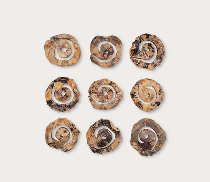 Corkscrew Wood Wall Décor, Set of 9 by Uttermost