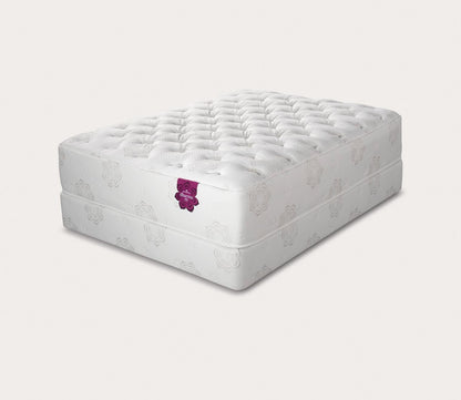 Silo image of Dharma Elite Plush Mattress by PranaSleep - angle view.
