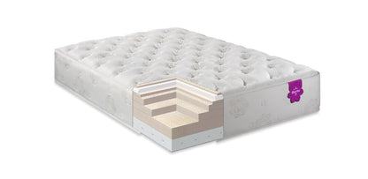 Dharma Elite Super Cush Mattress with cutaway showing natural latex comfort and support layers.