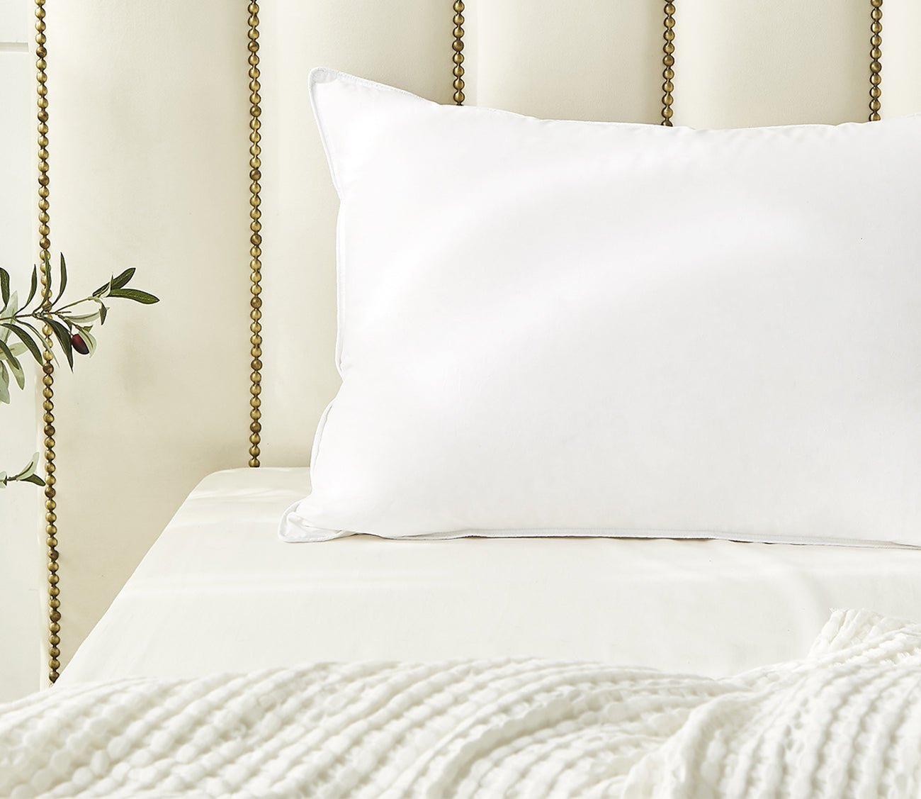 Farm To Home Organic Cotton Medium Firm White Down Pillow by Farm To Home