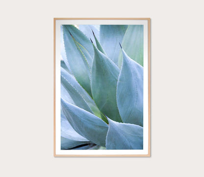 Grand Image Agave 1 Digital Print by Grand Image
