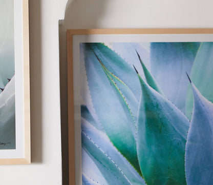Grand Image Agave 1 Digital Print by Grand Image