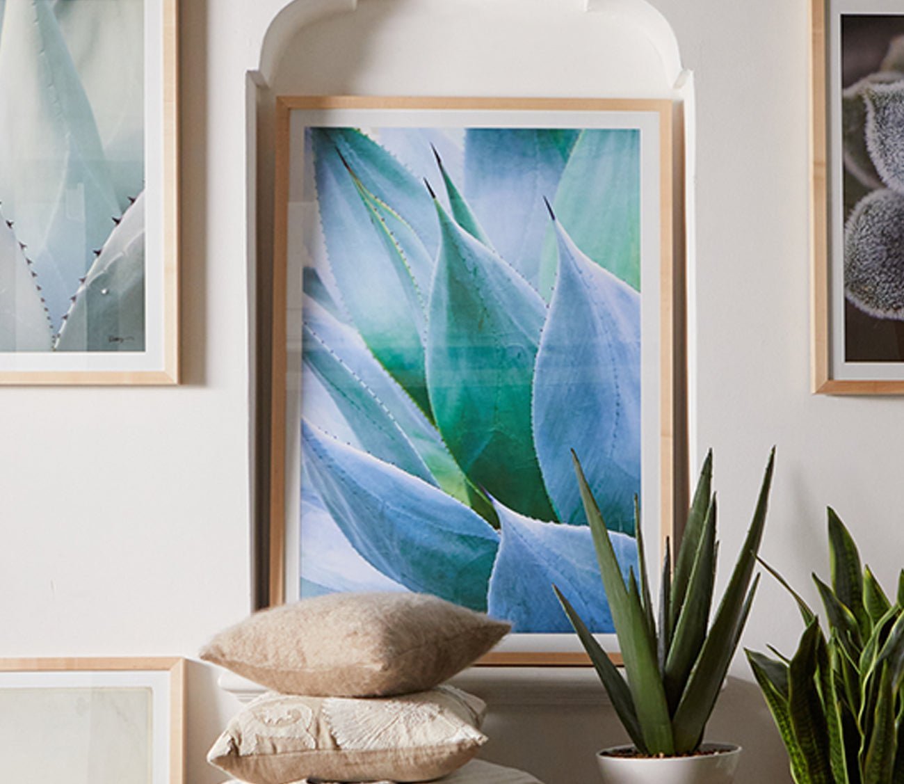 Agave 1 Digital Print