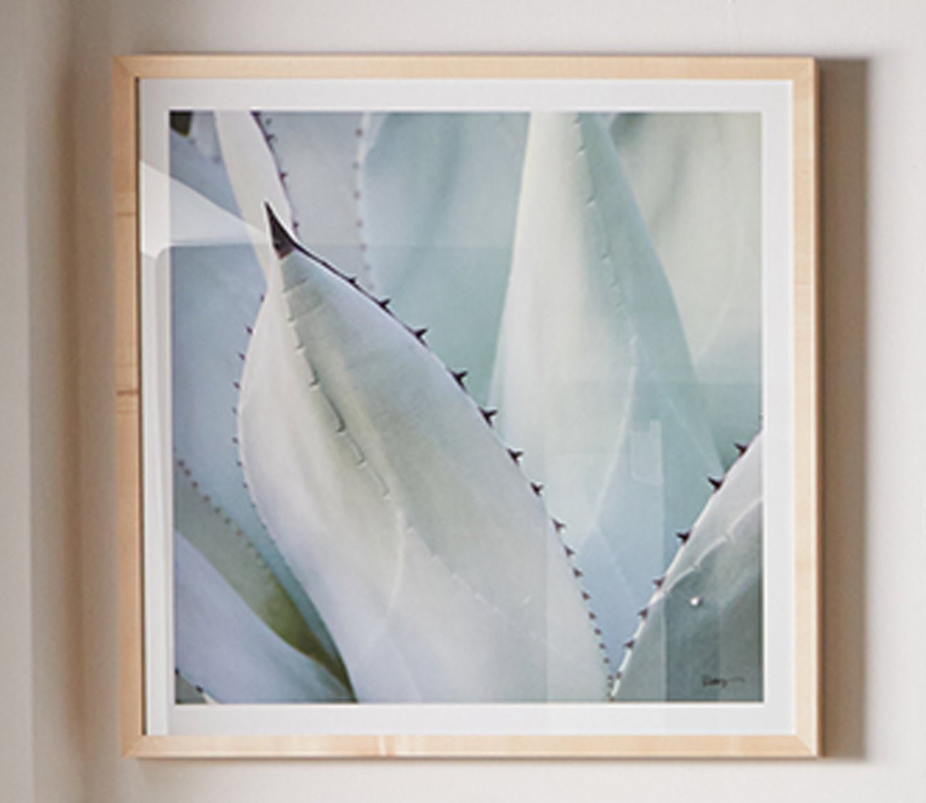 Black Tip Succulent Digital Print
