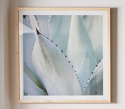 Grand Image Black Tip Succulent Digital Print by Grand Image