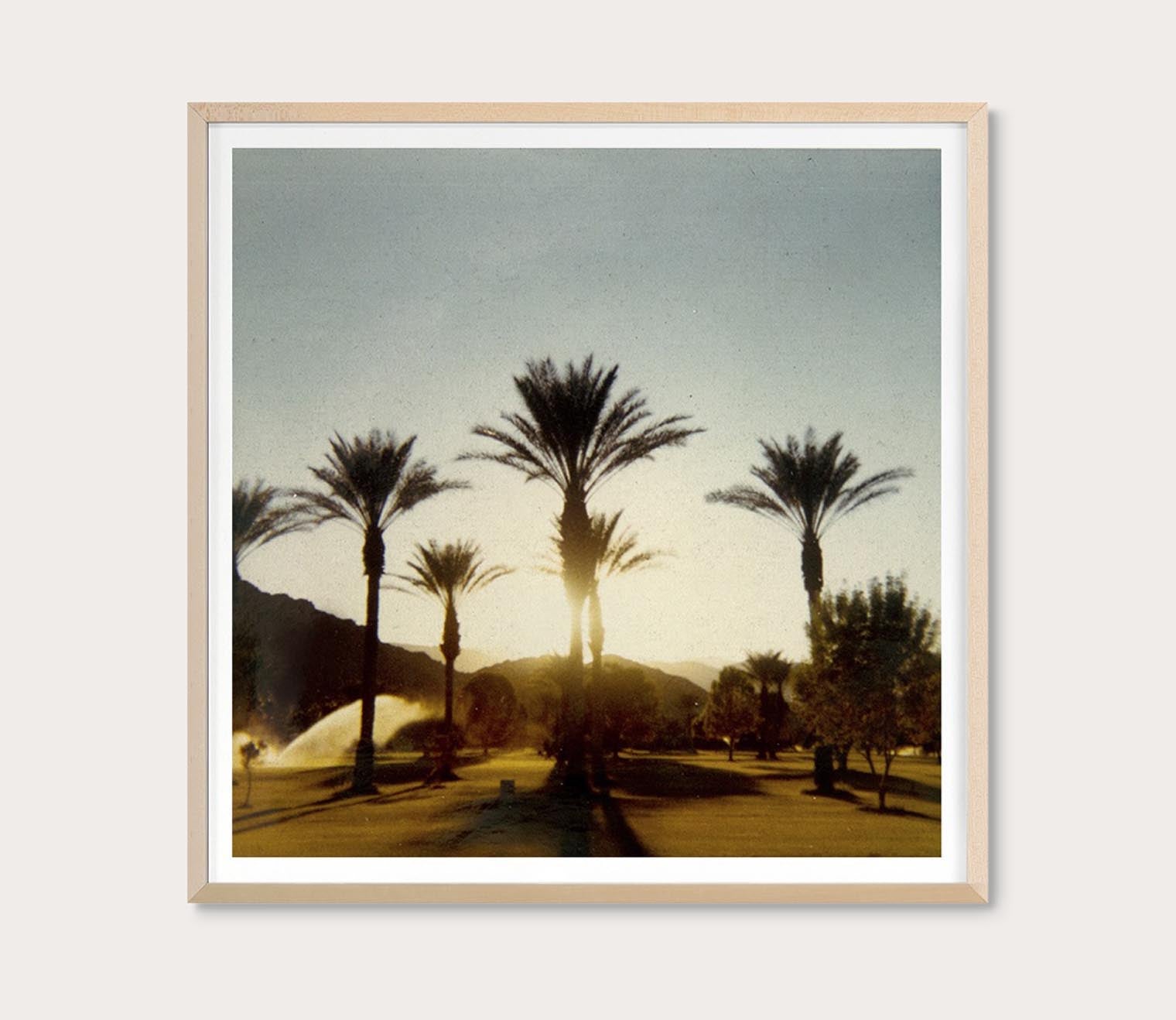 Palm Trees Digital Print
