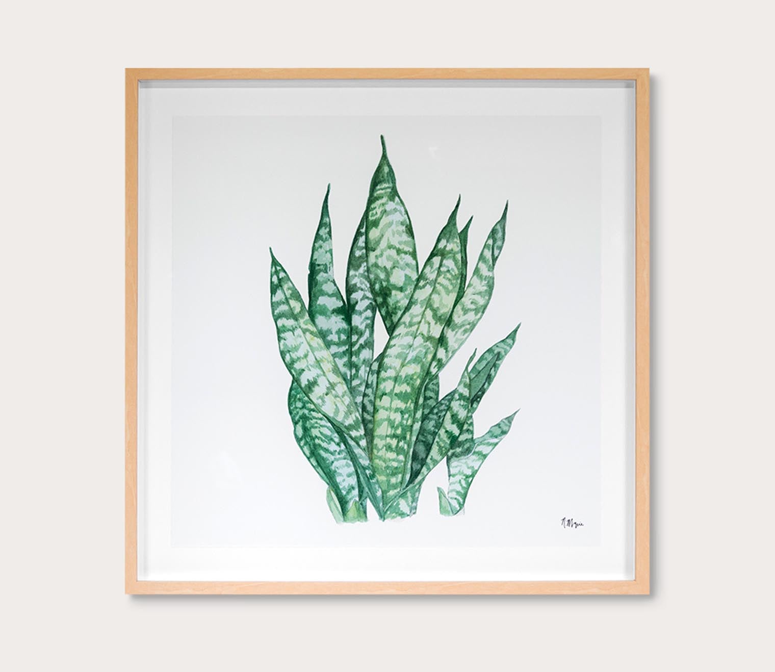 Tropical Botanicals 3 Digital Print