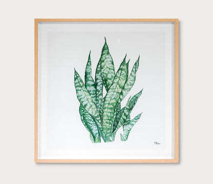 Grand Image Tropical Botanicals 3 Digital Print by Grand Image