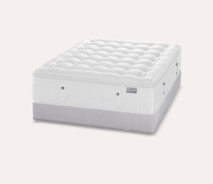 Silo image of Karpen Dove Luxetop Plush Mattress set on a standard foundation.