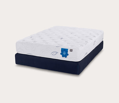 PranaSleep Asha Classic 3.0 Plush Mattress - silo angle view on standard foundation