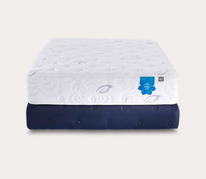 PranaSleep Asha Luxe 3.0 Plush Mattress - silo on blue standard foundation