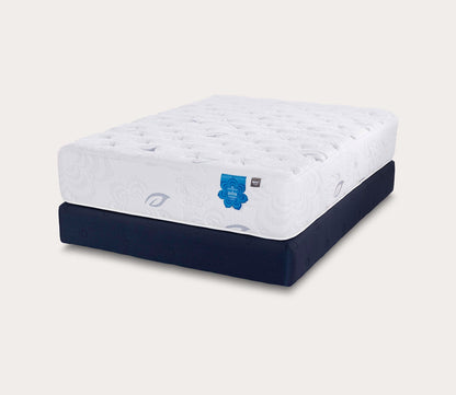 Angled Silo image of PranaSleep Asha Luxe Pro 3.0 Medium Mattress on a blue foundation
