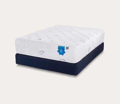 PranaSleep Asha LuxePro 3.0 Plush Mattress by PranaSleep - silo on standard foundation; angled view