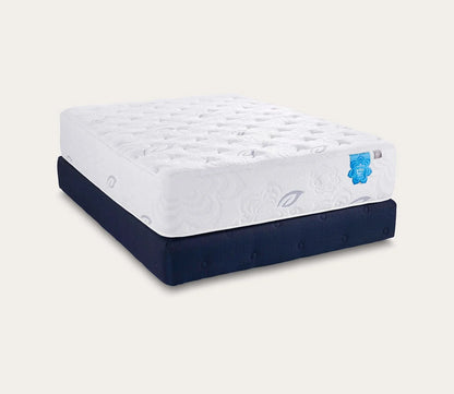 PranaSleep Asha LuxePro 3.0 Plush Mattress by PranaSleep - silo on white background.