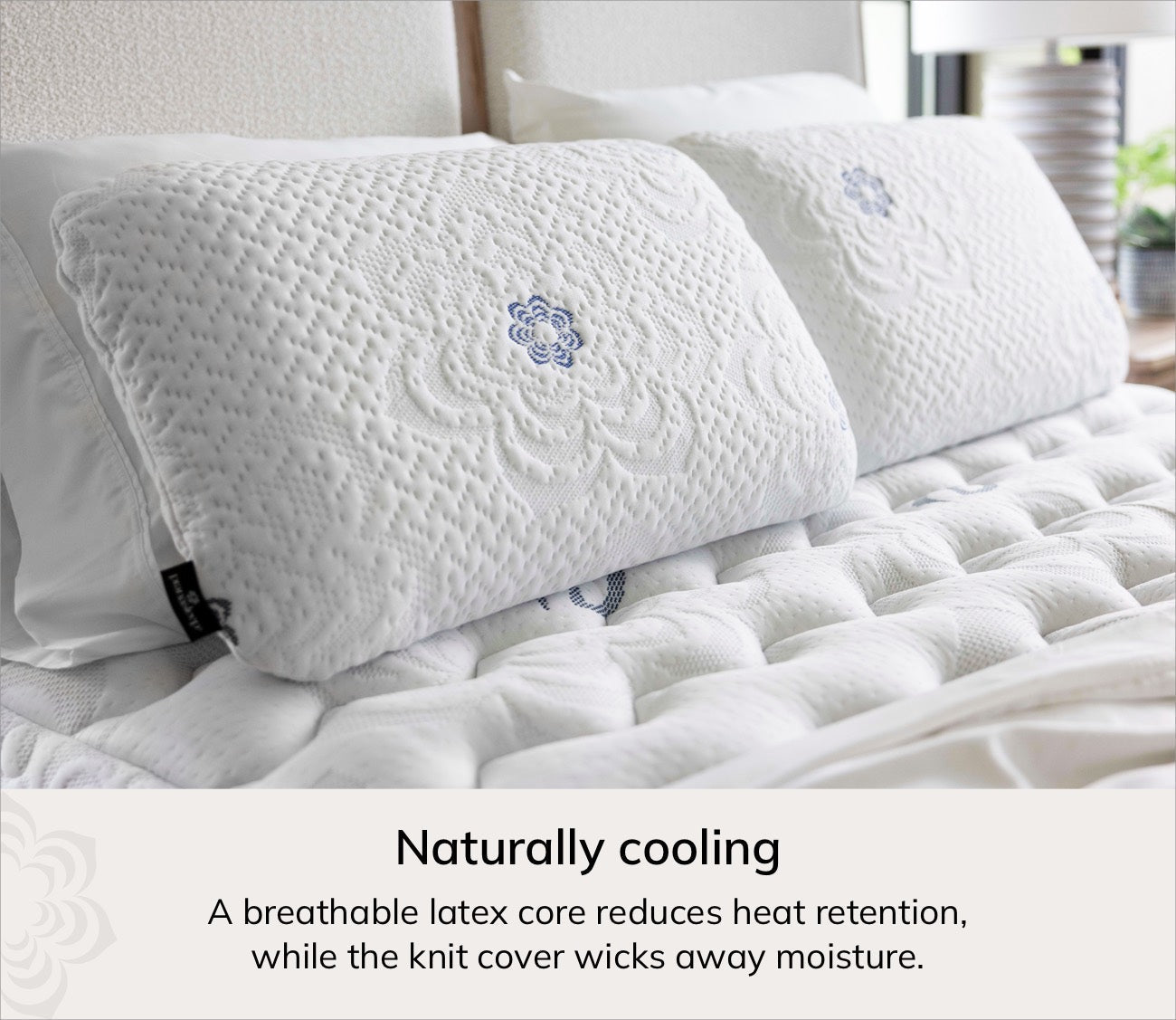 PranaSleep Asha Natural Latex Pillow by PranaSleep