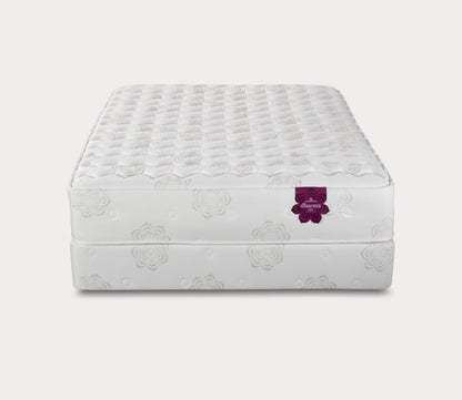 PranaSleep Dharma Elite Luxury Firm Mattress