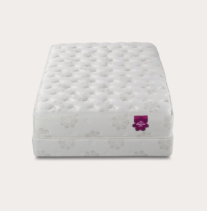 Silo image of PranaSleep Dharma Elite Super Cush Mattress - top view.