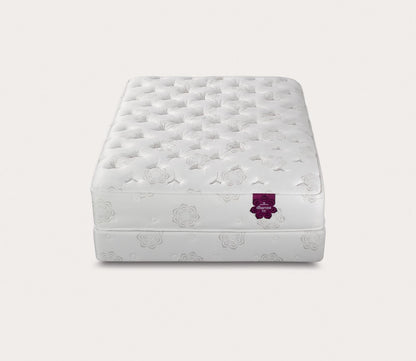 PranaSleep Dharma Luxe Plush Mattress by PranaSleep