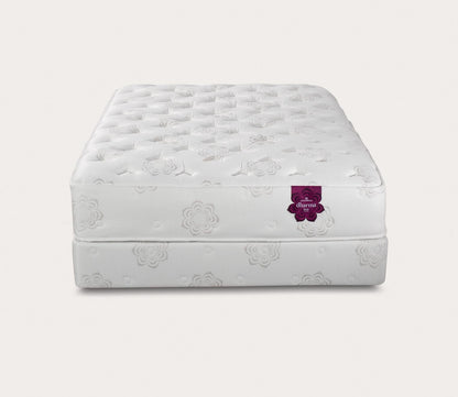 PranaSleep Dharma Luxe Plush Mattress by PranaSleep