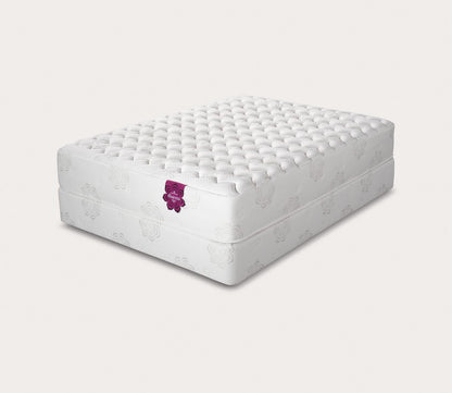 PranaSleep Dharma Select Firm Mattress by PranaSleep
