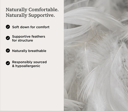 PranaSleep Halo Down Pillow by PranaSleep describing support and comfort features.
