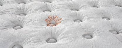 PranaSleep Karma Elite 2 Hybrid Plush Mattress by PranaSleep