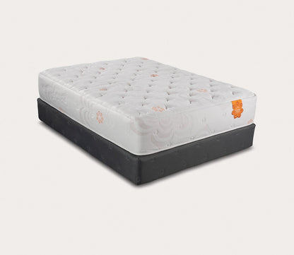 PranaSleep Karma Elite 2 Hybrid Super Cush Mattress by PranaSleep