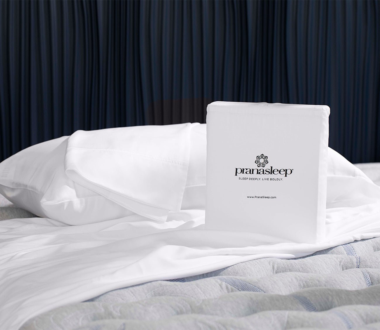 Maderia Lyocell White Pillowcase Set of 2