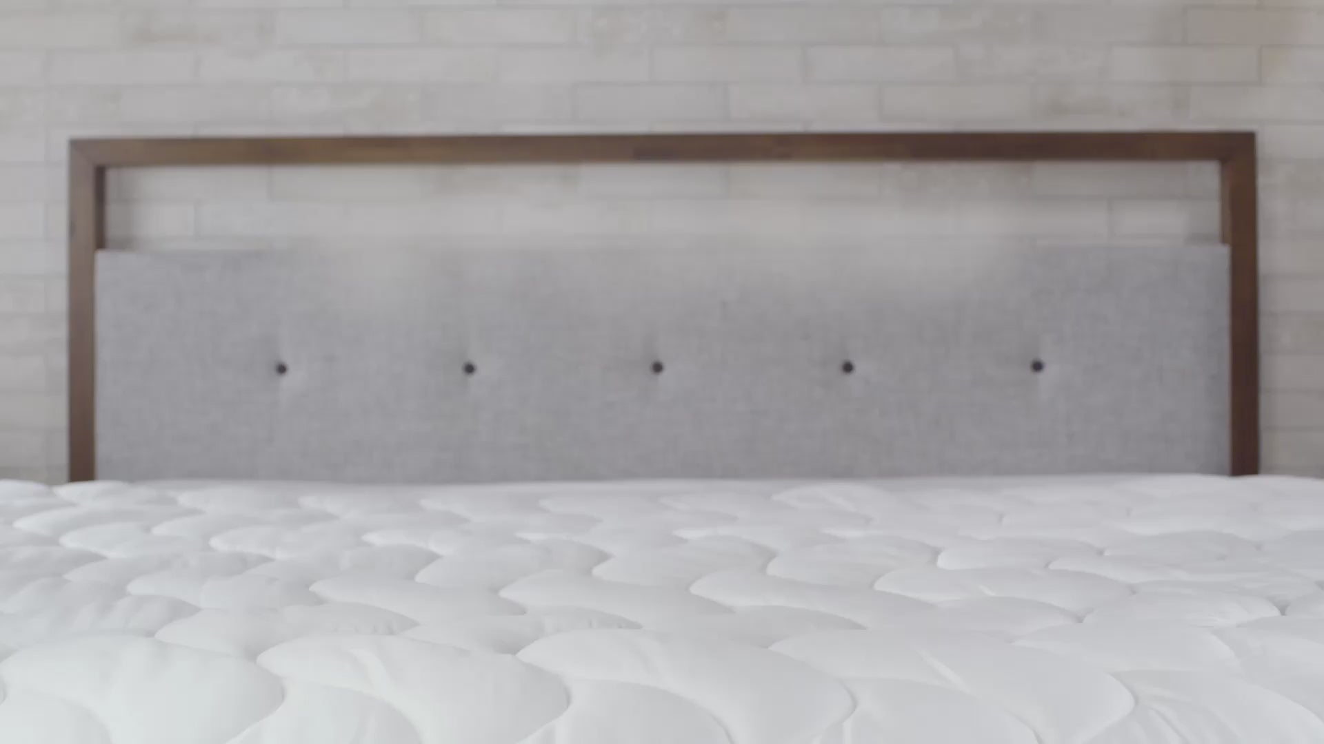Video of Bedgear Storm Pillows