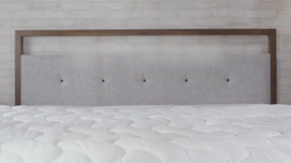 Video of Bedgear Storm Pillows