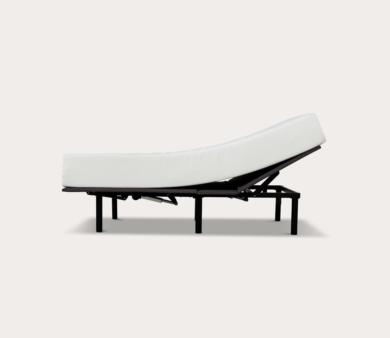 Primo International Divine Plush 8 - Inch Gel Foam Mattress by Primo International