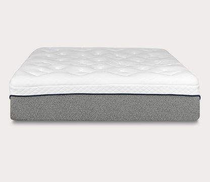 Primo International Divine Ultra Plush 13 - Inch Gel Foam Mattress by Primo International