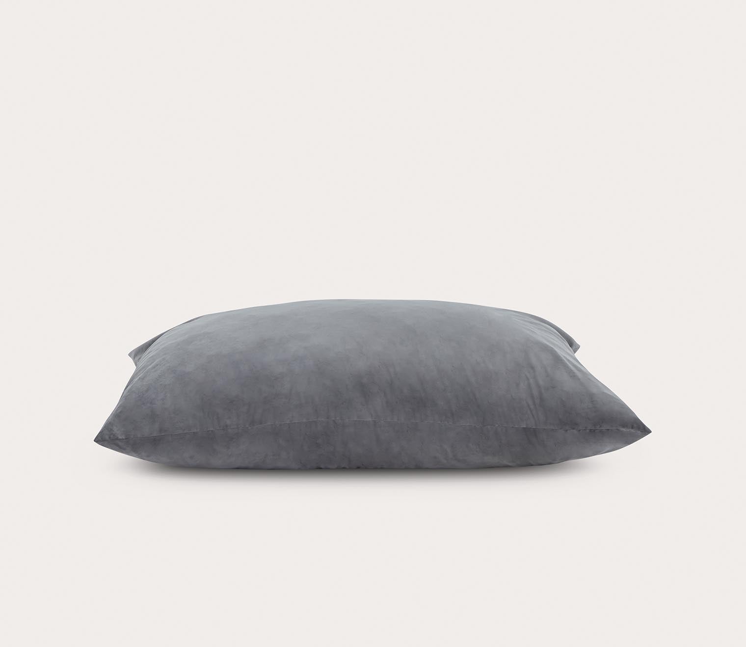 Sealy Ettie Velour Bean Bag Lounger by Sealy
